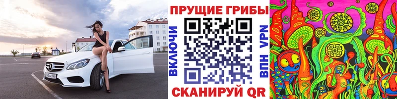 мега зеркало  Советск  Псилоцибиновые грибы Cubensis 